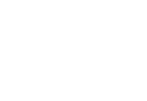 Passiflora Buttenwiesen